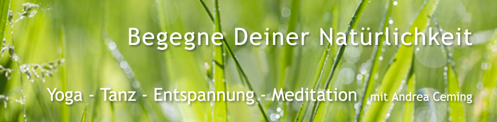 Andrea Ceming - Yoga Tanz Meditation Biodanza in Burgsinn, Karlstadt, Wrzburg